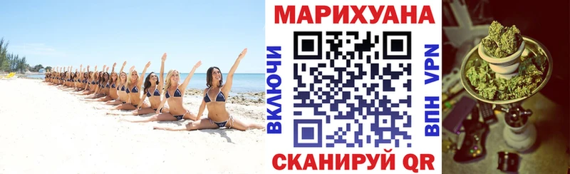 продажа наркотиков  Коряжма  Шишки марихуана тримм 